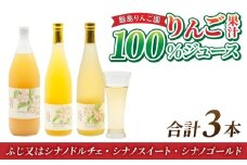 【飯島りんご園】果汁100％りんごジュース3種3本セット