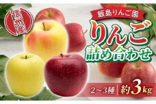 【飯島りんご園】旬の色々りんごの詰め合わせセット　3kg（2〜3種）