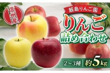 【飯島りんご園】旬の色々りんごの詰め合わせセット　5kg（2〜3種）