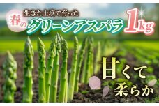 先行受付【里山JAPAN】甘くて柔らか 生きた土壌で育った『春のグリーンアスパラ』1kg｜長野県 ※2026年春発送