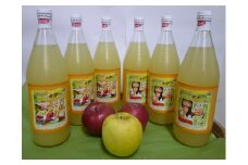 産直センター　100％まるごとりんごジュース６本セット