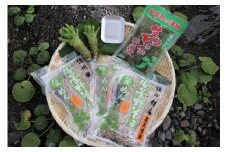 藤屋わさび農園　【特選】生わさびとそばセット