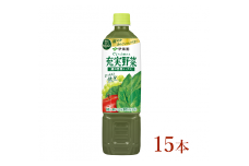 伊藤園　【充実野菜】緑の野菜ミックス「740ｇ×15本」