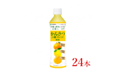 伊藤園　ニッポンエール　国産かんきつ三種ブレンド「400g×24本」