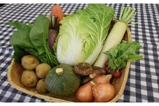 小海産高原の野菜セット［農産物加工直売所］