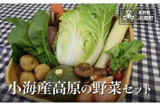 小海産高原の野菜セット［農産物加工直売所］