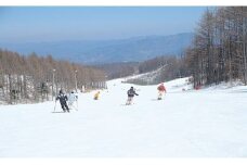 シャトレーゼ　ガトーキングダム小海スキー宿泊パック　平日限定