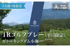 ガトーキングダム小海１Rゴルフプレー（昼食付）　平日限定