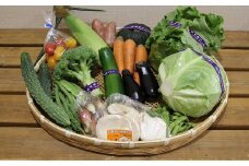 季節の野菜3回セット