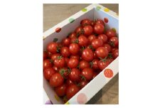 野菜ソムリエが作る高原スイートミニトマト