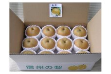 小海産梨「南水」