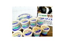 ＜長野県野辺山高原＞滝沢牧場の手作りアイスクリーム　120ml×12個入【1262873】