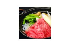 特撰黒毛和牛 すき焼き・しゃぶしゃぶセット 700g【1318253】