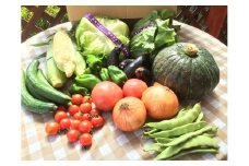 野菜ボックス　1回