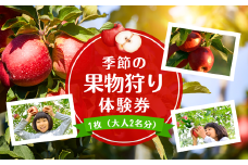 「季節の果物狩り体験券」1枚［AK-101］