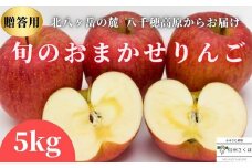 農園にお任せ旬のリンゴ ５kg入り贈答箱【限定品】［RS-104］