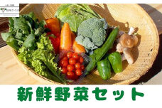 新鮮野菜セット［CH-111］