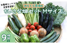 有機野菜ちいさな畑セット（Mサイズ　２～３人前）［NK-101］