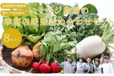 いそベジ農場の季節の野菜詰め合わせセット［IV-101］