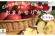 【期間限定】農家にお任せ！旬のリンゴ　詰め合わせ　５キロ箱［SU-111］