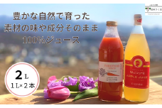 信州産　果汁100％りんごジュース＆「食べる」まるごと人参ジュースセット　計２本［SU-103］