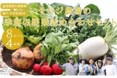 いそベジ農場の季節の野菜詰め合わせセット　定期便４回（IV-T502）