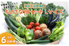 【先行受付・2025年発送】定期便６カ月　ちいさな畑セット（Lサイズ　３～４人前）（NK-T508）