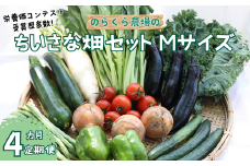 【先行受付・2025年発送】定期便４カ月　有機野菜ちいさな畑セット（Mサイズ　２～３人前）（NK-T503）