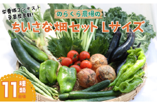 有機野菜ちいさな畑セット（Lサイズ　３～４人前）有機野菜［NK-102］