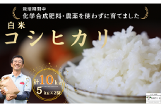 【令和6年産】佐久穂とさや農園のコシヒカリ　白米10kg［ST-116］
