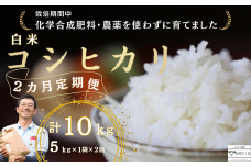 定期便２ヶ月　コシヒカリ　５キロ×１袋〔ST-T522〕