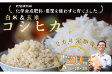 定期便2ヵ月　佐久穂とさや農園のコシヒカリ　白米・玄米 各5kg　計20㎏〔ST-T526〕