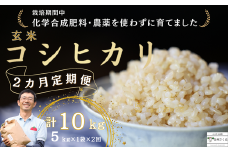 定期便２ヵ月　佐久穂とさや農園のコシヒカリ　玄米5kg　計10㎏（ST-T503）