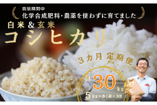 定期便３ヵ月　佐久穂とさや農園のコシヒカリ　白米・玄米 各5kg　計30㎏〔ST-T527〕