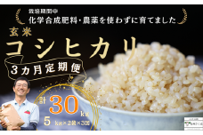 定期便３ヵ月　佐久穂とさや農園のコシヒカリ　玄米5kg×2袋　計30㎏（ST-T506）