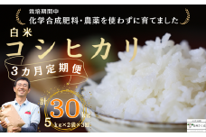 定期便３ヵ月　佐久穂とさや農園のコシヒカリ　白米5kg×2袋　計30㎏〔ST-T525〕