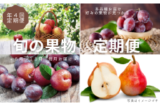 ４カ月箱いっぱいにお届け！佐久穂町で育った旬のフルーツ定期便（８月～１１月）〔AK-03〕