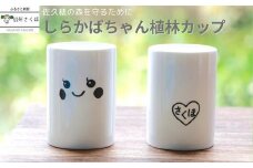 しらかばちゃん　植林カップ（植林支援）［YA-109］