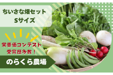有機野菜ちいさな畑セット（Sサイズ　１～２人前）［NK-120］