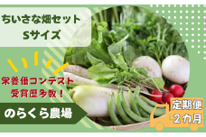 【先行受付・2025年発送】定期便2カ月　有機野菜ちいさな畑セット（Sサイズ　１～２人前）（NK-T518）