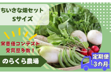 【先行受付・2025年発送】定期便3カ月　有機野菜ちいさな畑セット（Sサイズ　１～２人前）（NK-T519）