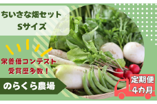 【先行受付・2025年発送】定期便4カ月　有機野菜ちいさな畑セット（Sサイズ　１～２人前）（NK-T520）