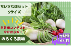 【先行受付・2025年発送】定期便6カ月　有機野菜ちいさな畑セット（Sサイズ　１～２人前）（NK-T521）