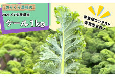 のらくら農場　ケール1kg [NK-121-01]