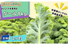 定期便　2カ月　のらくら農場　ケール1kg [NK-T522]