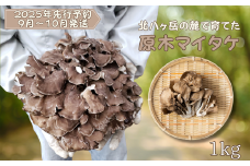 【先行受付・2025年発送】北八ヶ岳の麓で育てた　原木マイタケ　約１kg [SMZK-101]