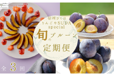 【予約便・2025年発送】定期便全3回　旬の生プルーン（RS-T502）