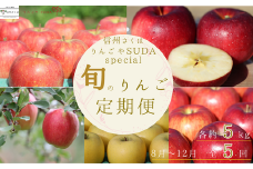 【予約便・2025年発送】定期便全5回　旬のりんご５kg入り贈答箱【限定50箱】（RS-T501）