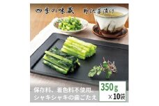 野沢菜浅漬お一人様セット(350g×10袋)＜ 漬物 野沢菜漬け お土産 長野 ＞【1049395】