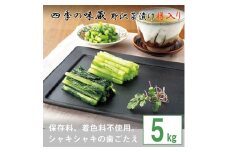 野沢菜漬樽入り5kg＜ 漬物 野沢菜漬け ＞【1049420】